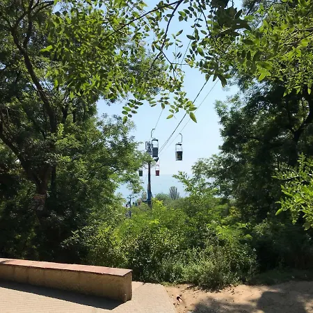 в отраде Odessa