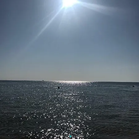 в отраде