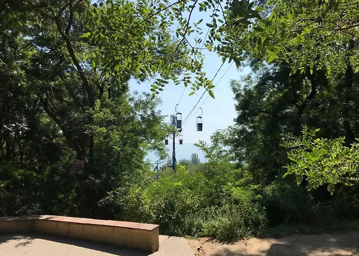 в отраде Odessa